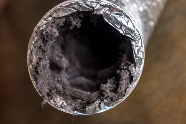 Air Duct Mold Removal in Edwardsville, KS